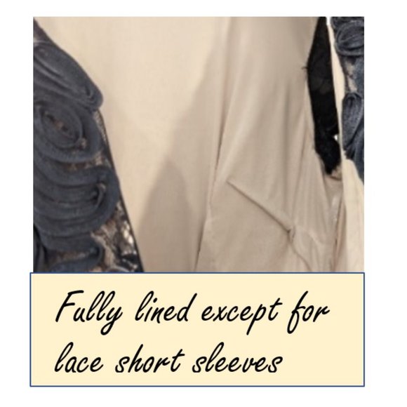 Designer JS Collections Lace Midi Evening Dress & Matching Earrings - Picture 10 of 14